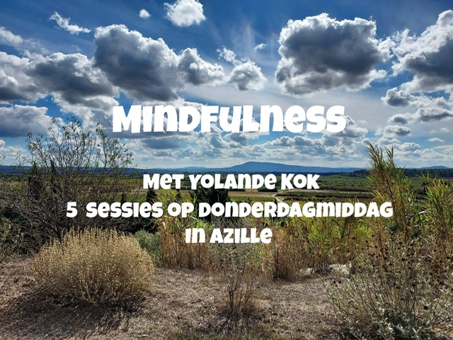 Mindfulness…een manier om stress te beheersen 
