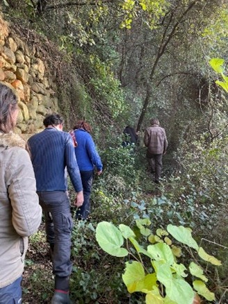 Boomplantdag Serendip