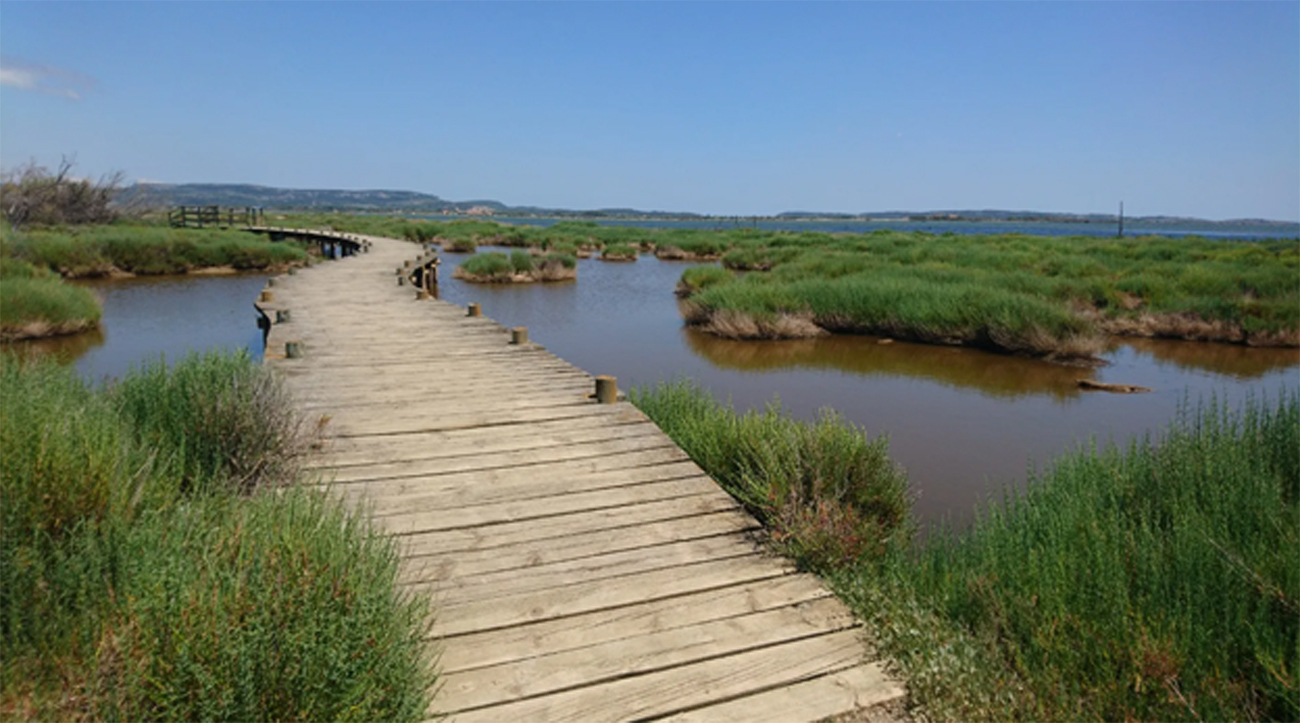 Wandeling – Houten pontons wandeling vanuit Bages