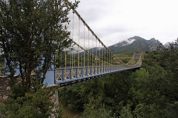 Boomplantdag Serendip