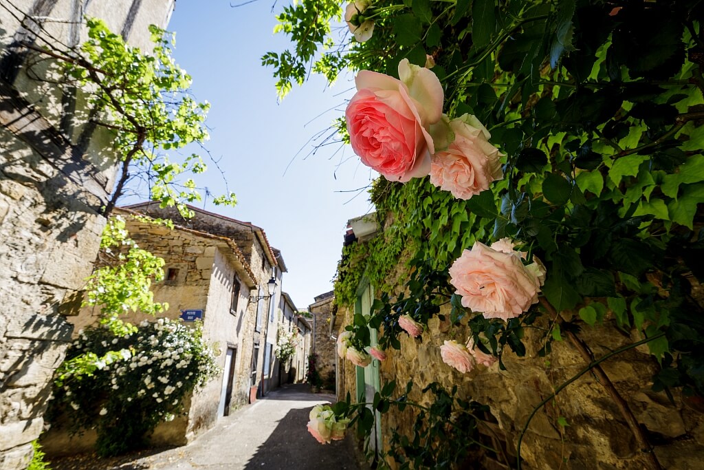 Cultuuruitstapje naar Camon in de Ariège