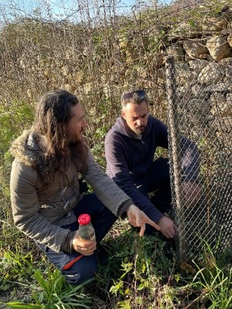 Boomplantdag Serendip